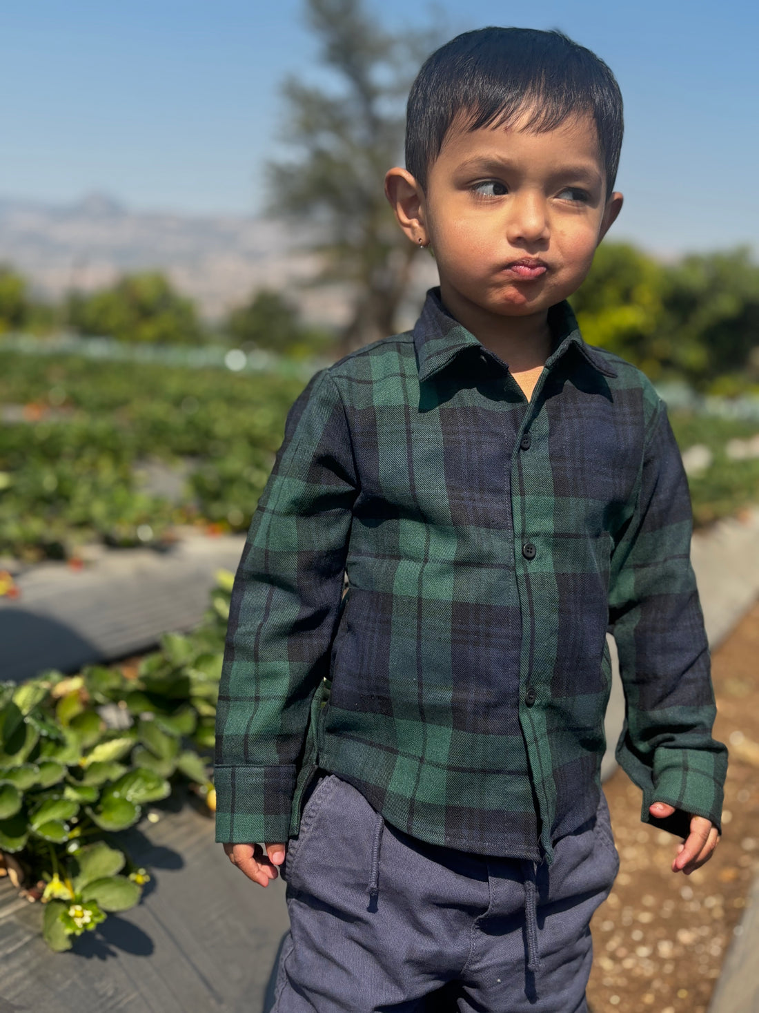 Classic Twill Cotton Shirt