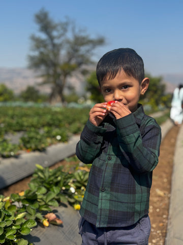 Classic Twill Cotton Shirt
